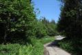Heywood Wood Photo