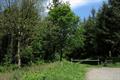 Heywood Wood Photo
