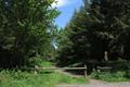 Heywood Wood Photo