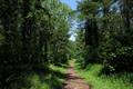 Heywood Wood Photo