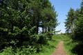 Heywood Wood Photo