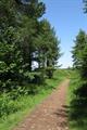 Heywood Wood Photo