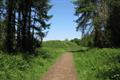 Heywood Wood Photo