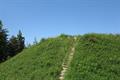 Heywood Wood Photo