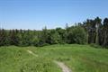 Heywood Wood Photo