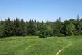 Heywood Wood Photo