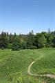 Heywood Wood Photo