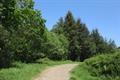 Heywood Wood Photo