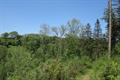 Heywood Wood Photo