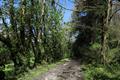 High Wood Photo