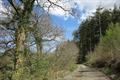 High Wood Photo