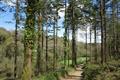 High Wood Photo