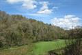 High Wood Photo