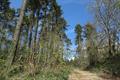 High Wood Photo