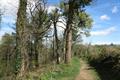 High Wood Photo