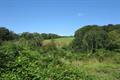 High Wood Photo