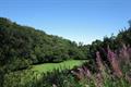 High Wood Photo