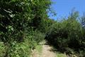 High Wood Photo