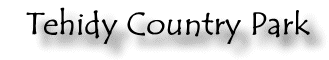 Tehidy Country Park Heading
