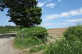Winkleigh Wood Photo
