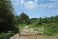 Winkleigh Wood Photo