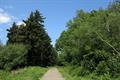 Winkleigh Wood Photo