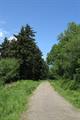 Winkleigh Wood Photo