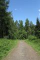 Winkleigh Wood Photo
